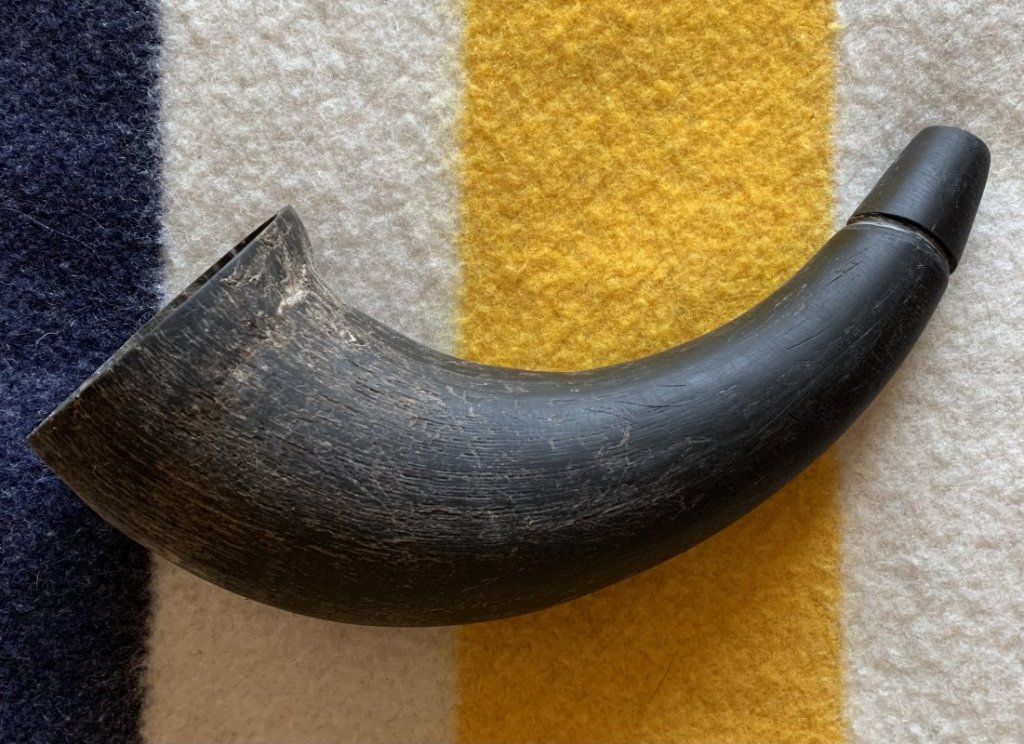 Buffalo Horn.jpeg