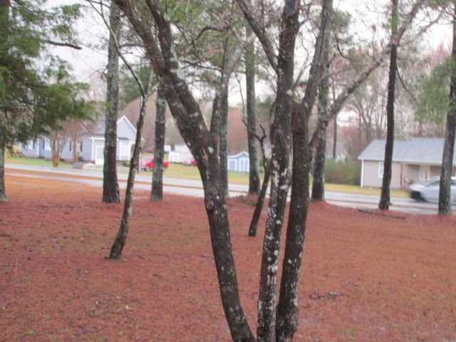 220317 001 Heavy Rain 002.jpg
