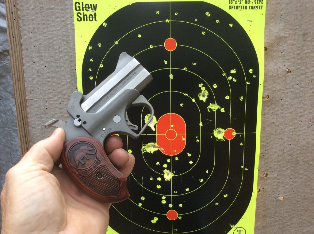 No 8 shot 410 and 45 colt hits.jpg