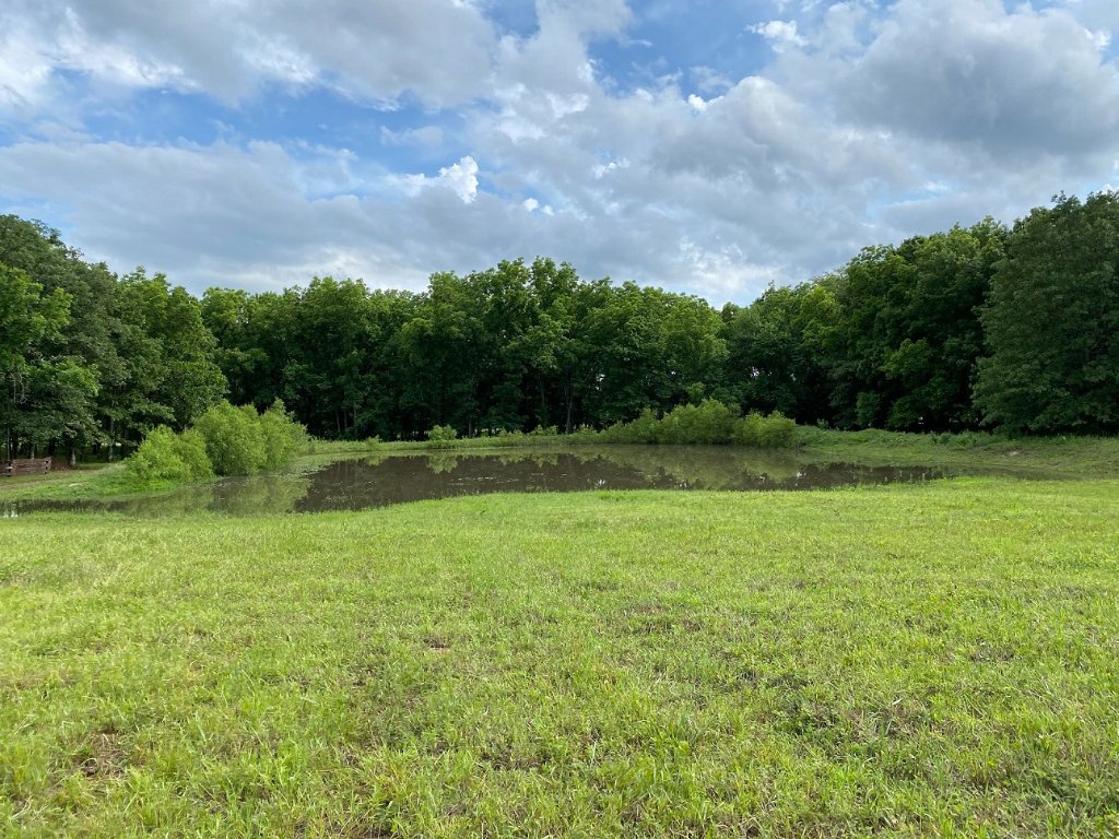 pond is full 220609.jpg