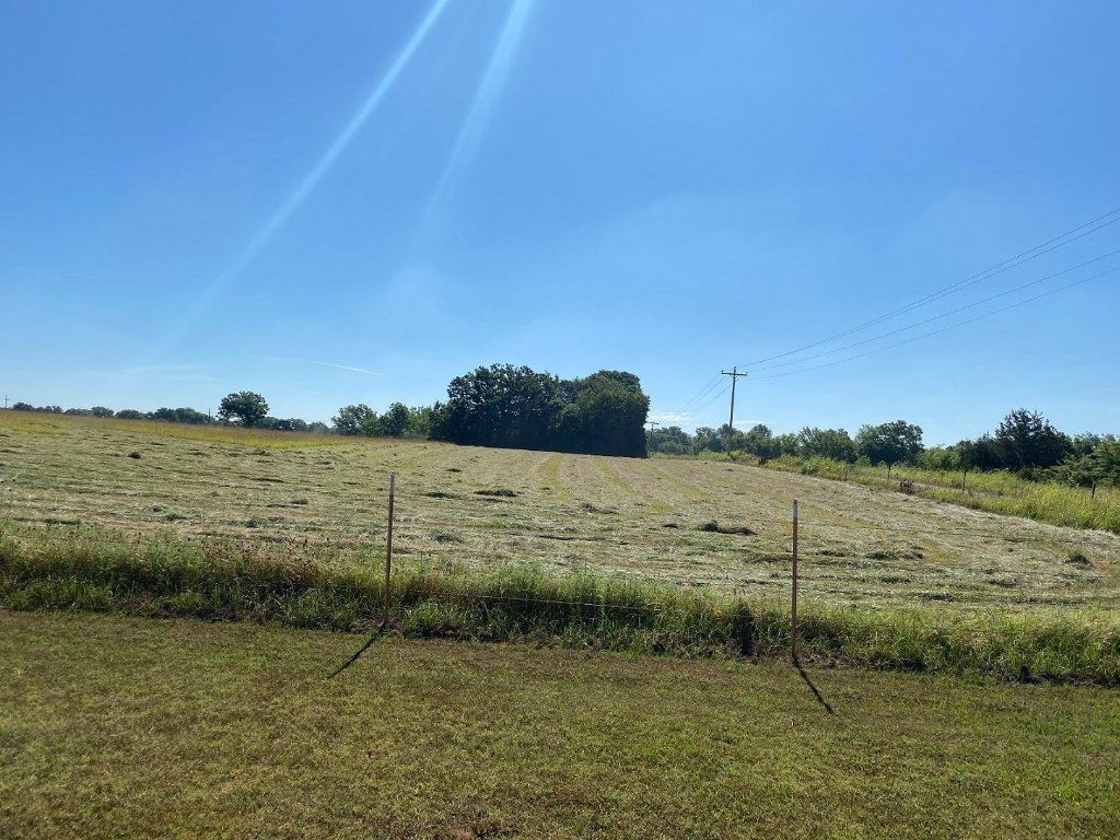 lotta hay every year.jpg
