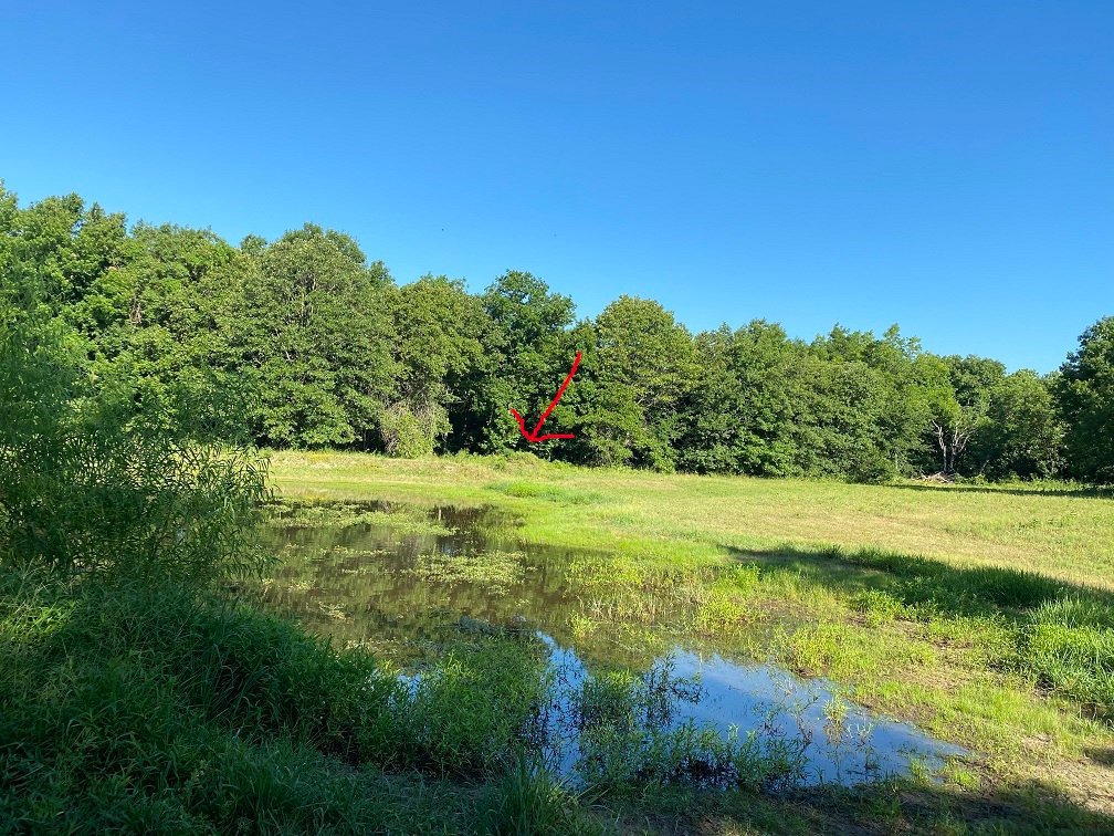 pond pile arrow.jpg