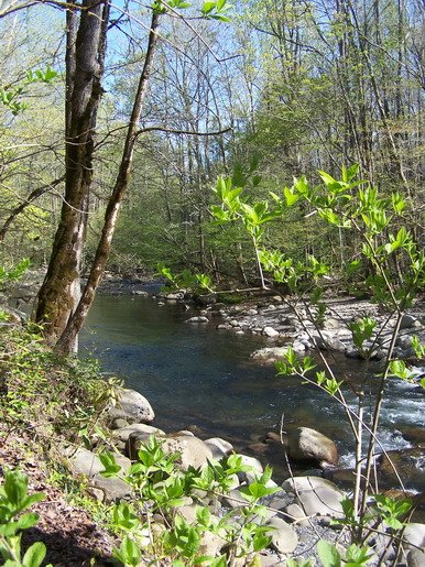 gburg honey hole.jpg