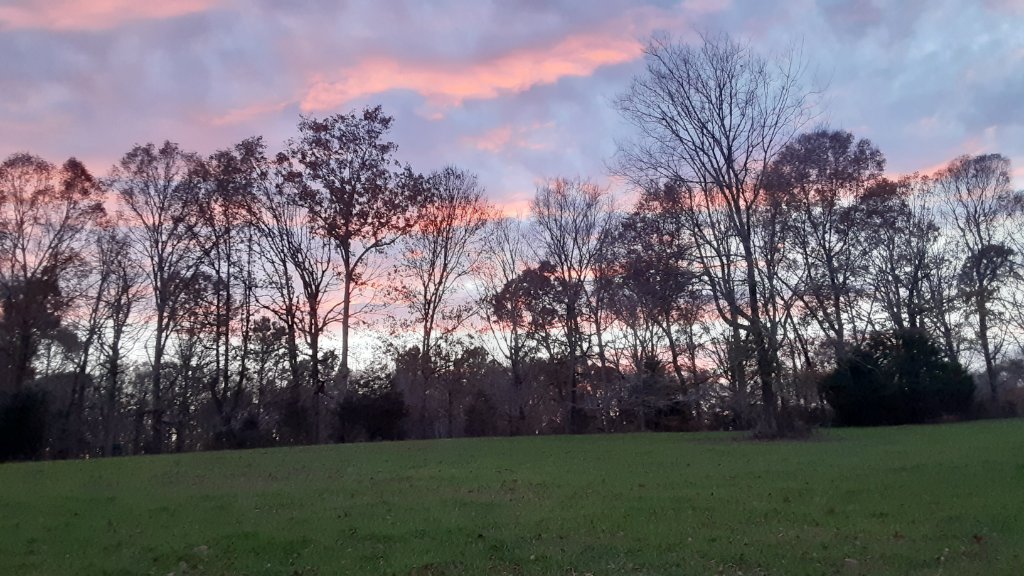 20211124_164901.jpg