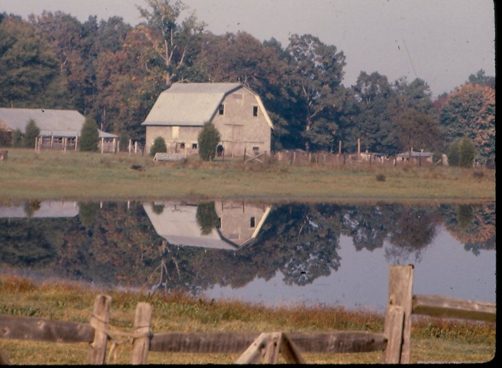 barn 2.jpg