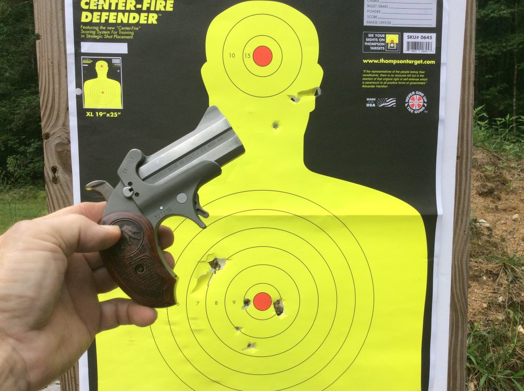 grizzly 45 410  two shots of Hornady critical defense 410   one slug with two balls.jpg