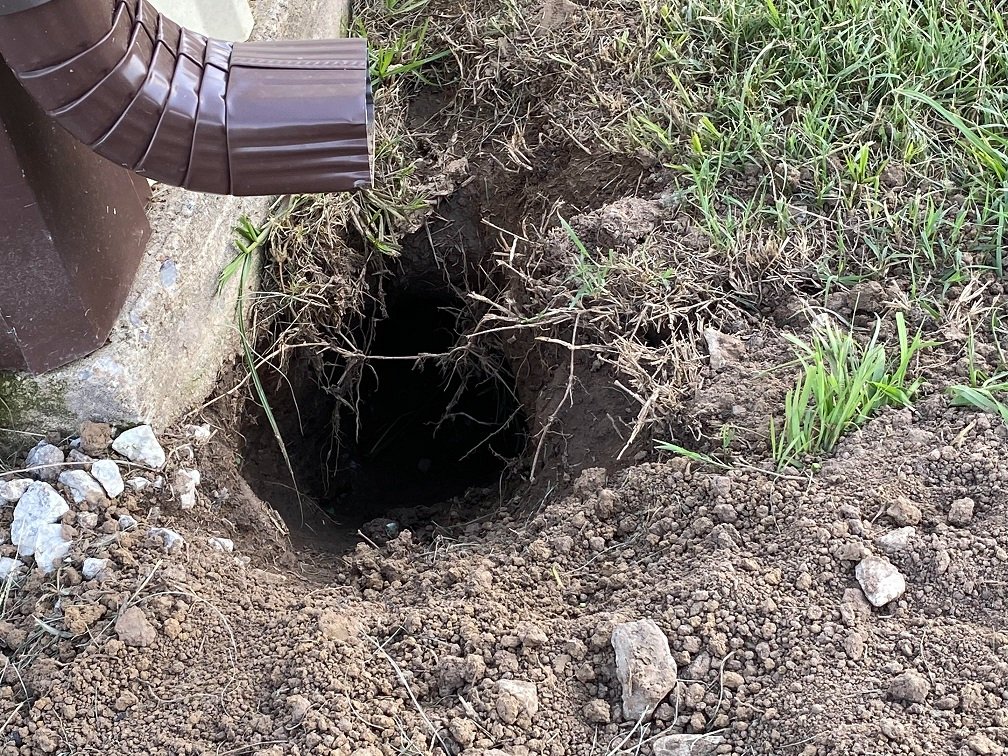 suspicious hole  2 220826.jpg