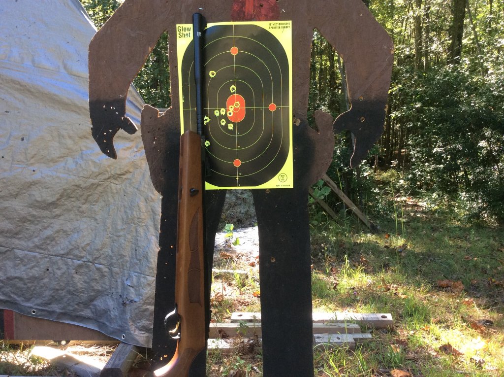 the big 30 cal Hatsan air rifle shot very well today from 36 yds..jpg