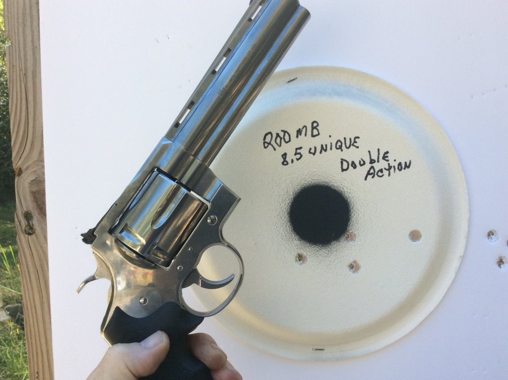 a double action shot.jpg