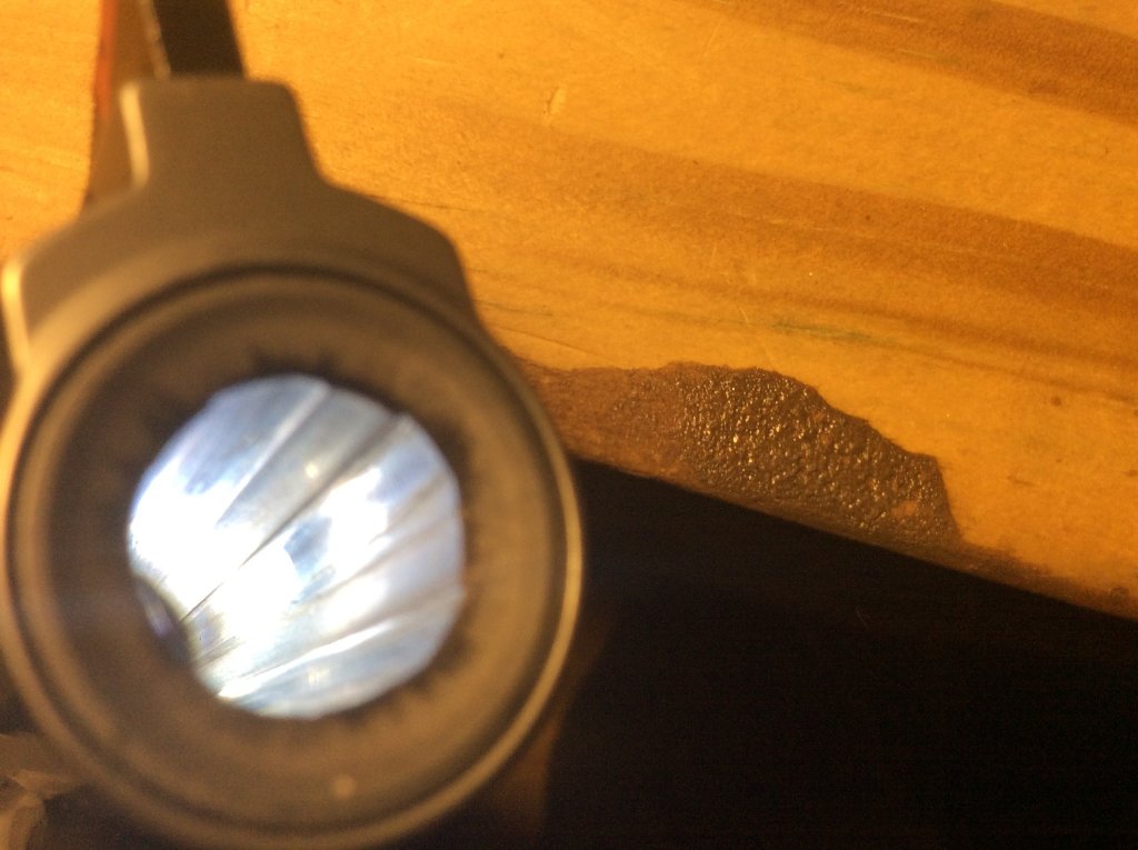 SW M69 bore after 3 shots of xtp fmj bullet used for clean out  shots.jpg