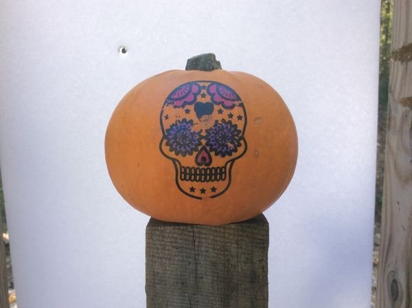 pumpkin shoot 10 14 2022.jpg
