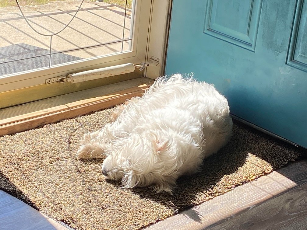 its a hard life.jpg
