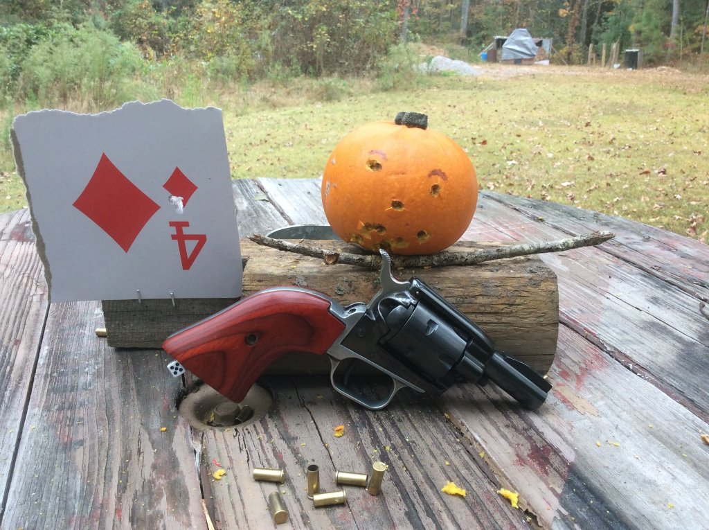 Lil' Blackjack got him a pumpkin.jpg