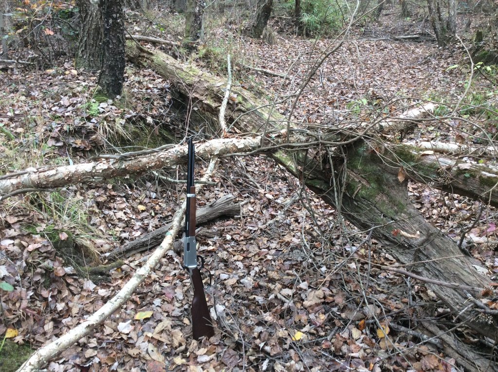 should be water there.jpg