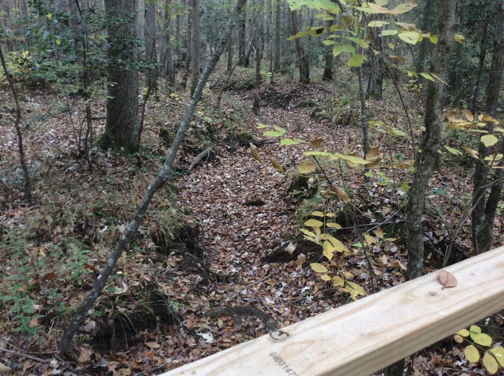 no water down there just leaves   creek dried up.jpg