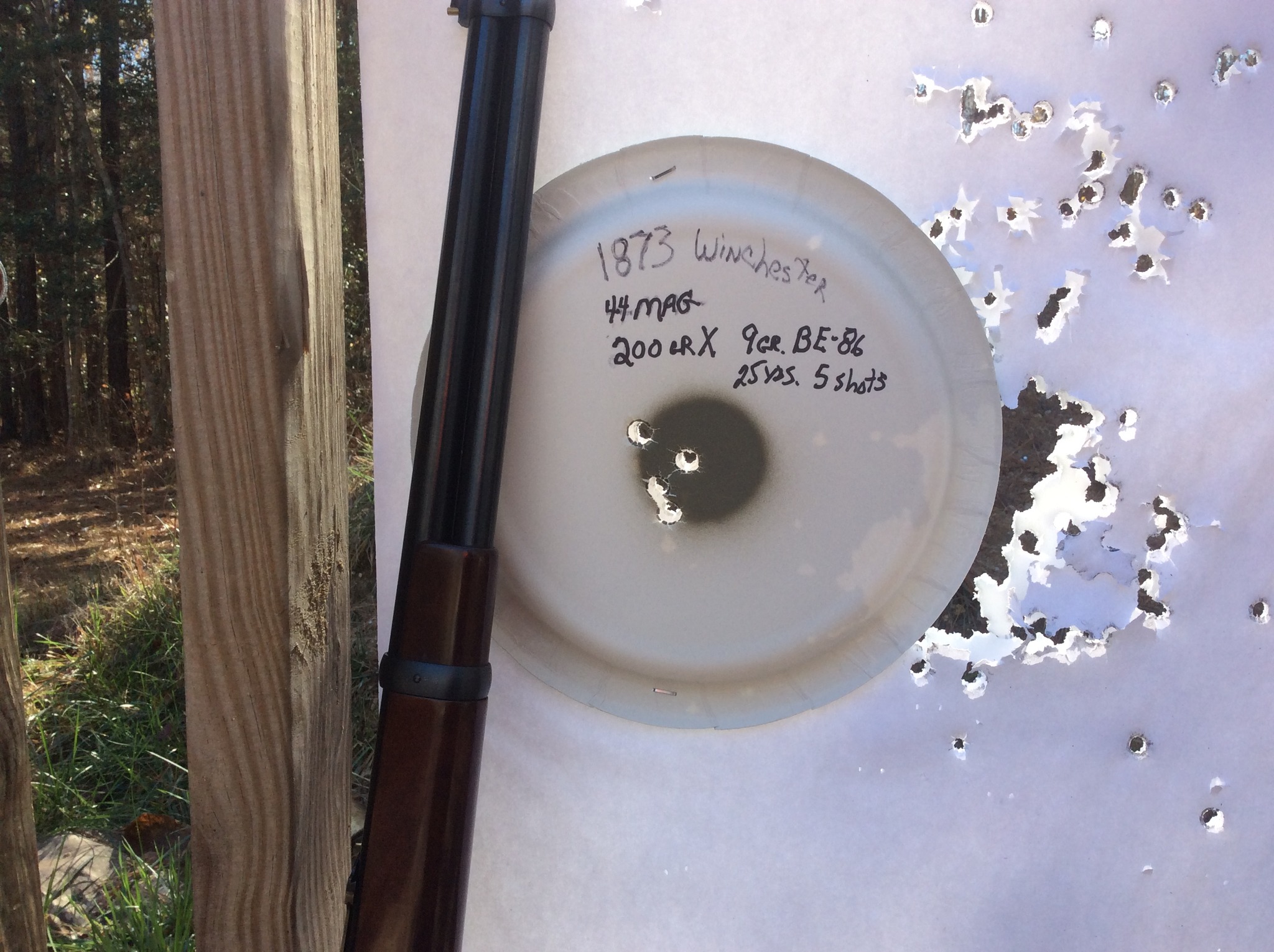 winchester likes it.jpg