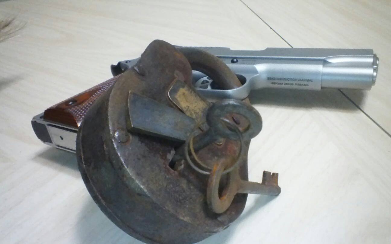 new gun lock.jpg