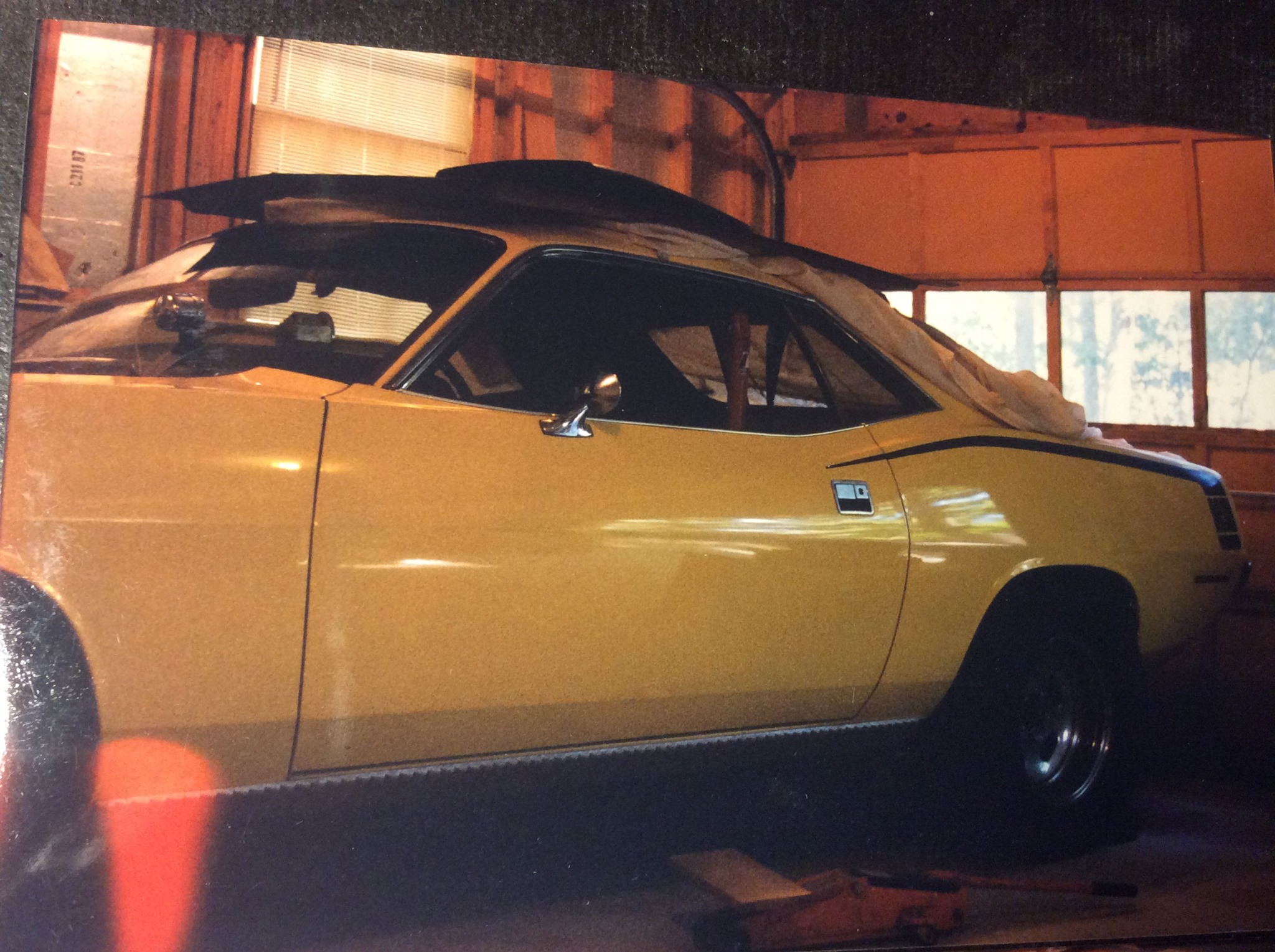 1970 hemicuda  pic taken 2003.jpg