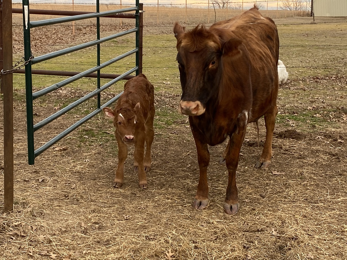 mom and son 230111.jpg
