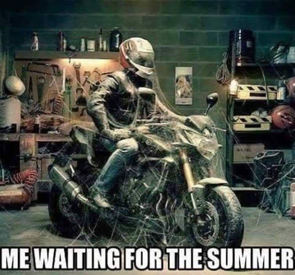 FB_IMG_1675607104613.jpg