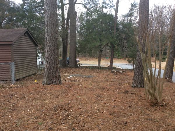 project area 1.jpg