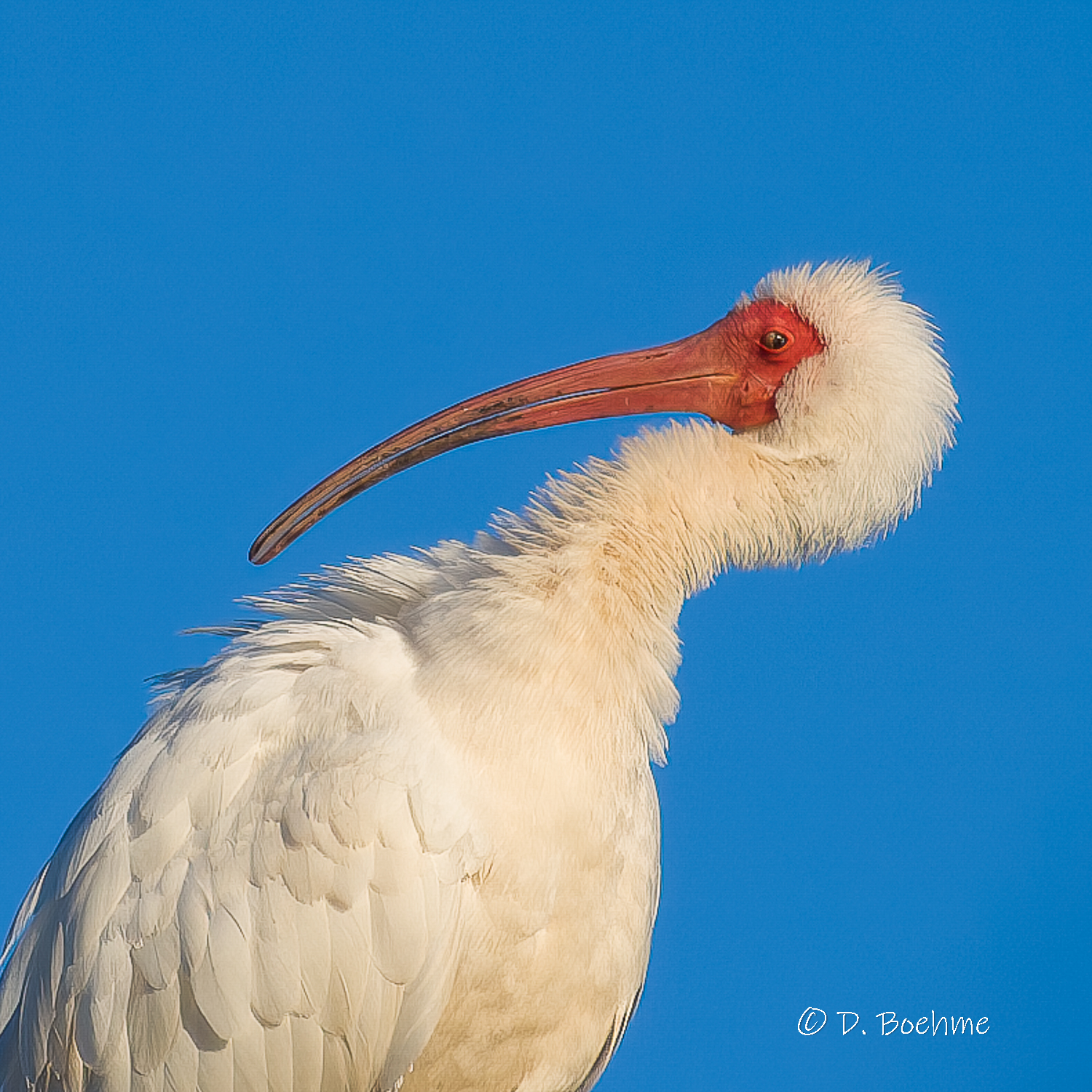 _DAB7173-gigapixel-low_res-scale-1_50x-cropped-3.jpg