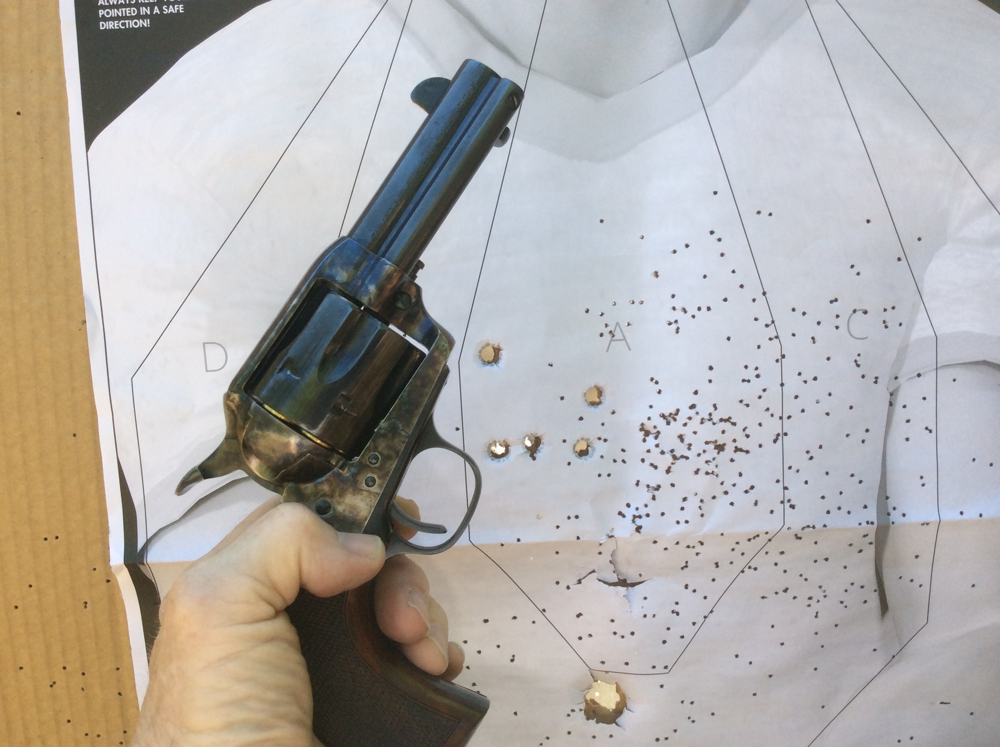 quick 5 shots with Taylors Running Iron 45 Colt.jpg