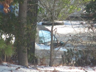 170108 002 in the ditch 002.jpg