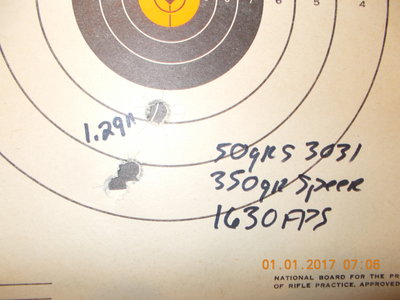 300 gr load 1.JPG
