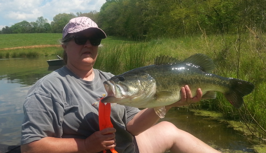 wn tinas fish.jpg