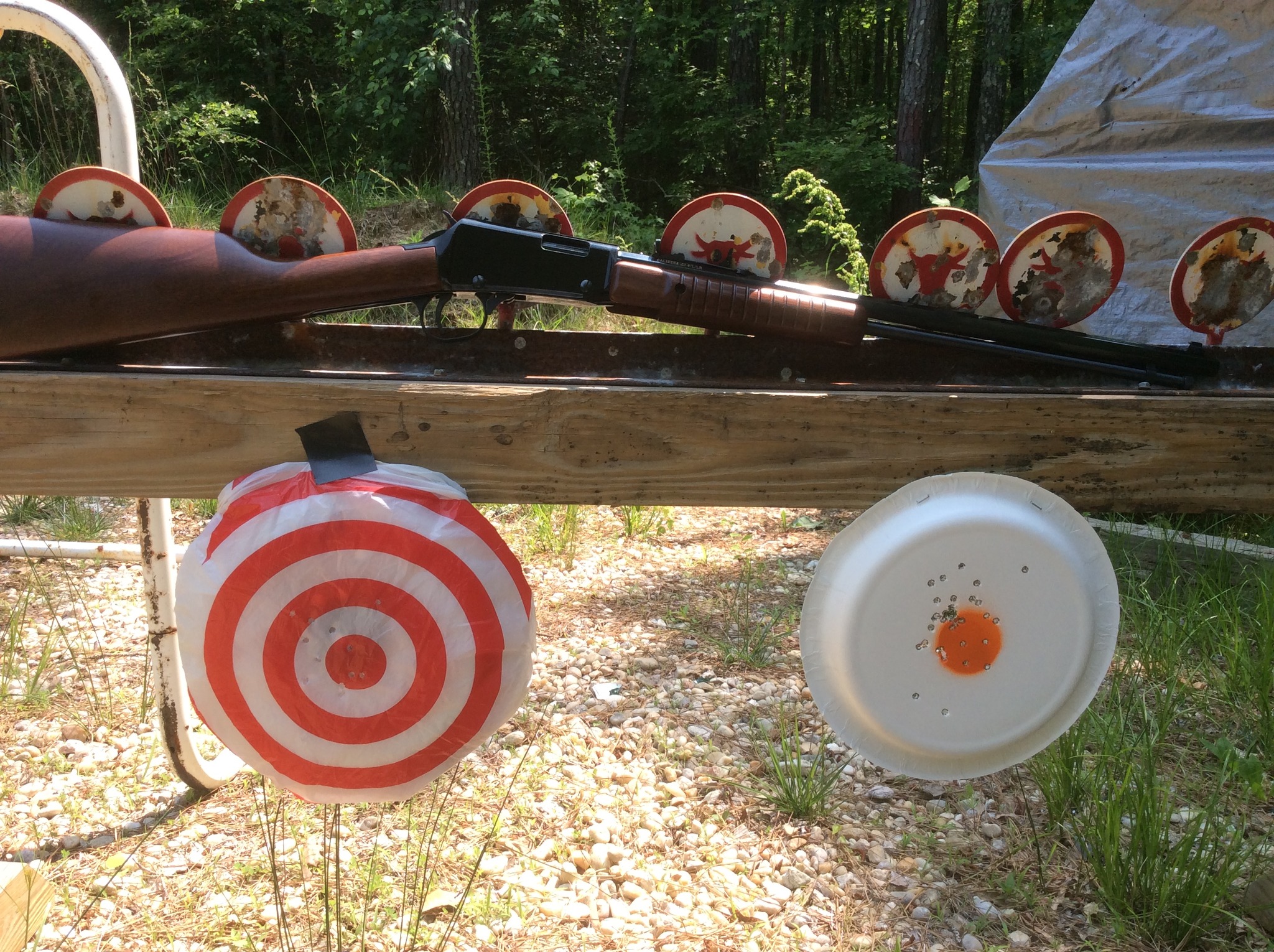 Henry pump a good all day plinker when loaded with 20  22 Shorts.jpg