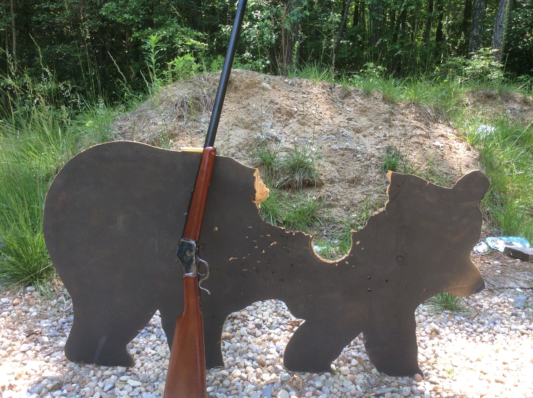 big WOW  one plinky load destroyed bear from 45 yds.jpg