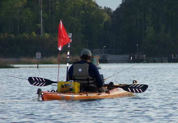 paddle stripes.jpg