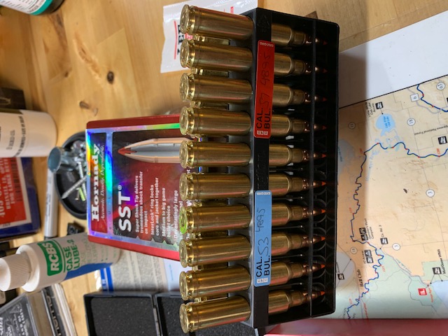 300 handloads.jpg