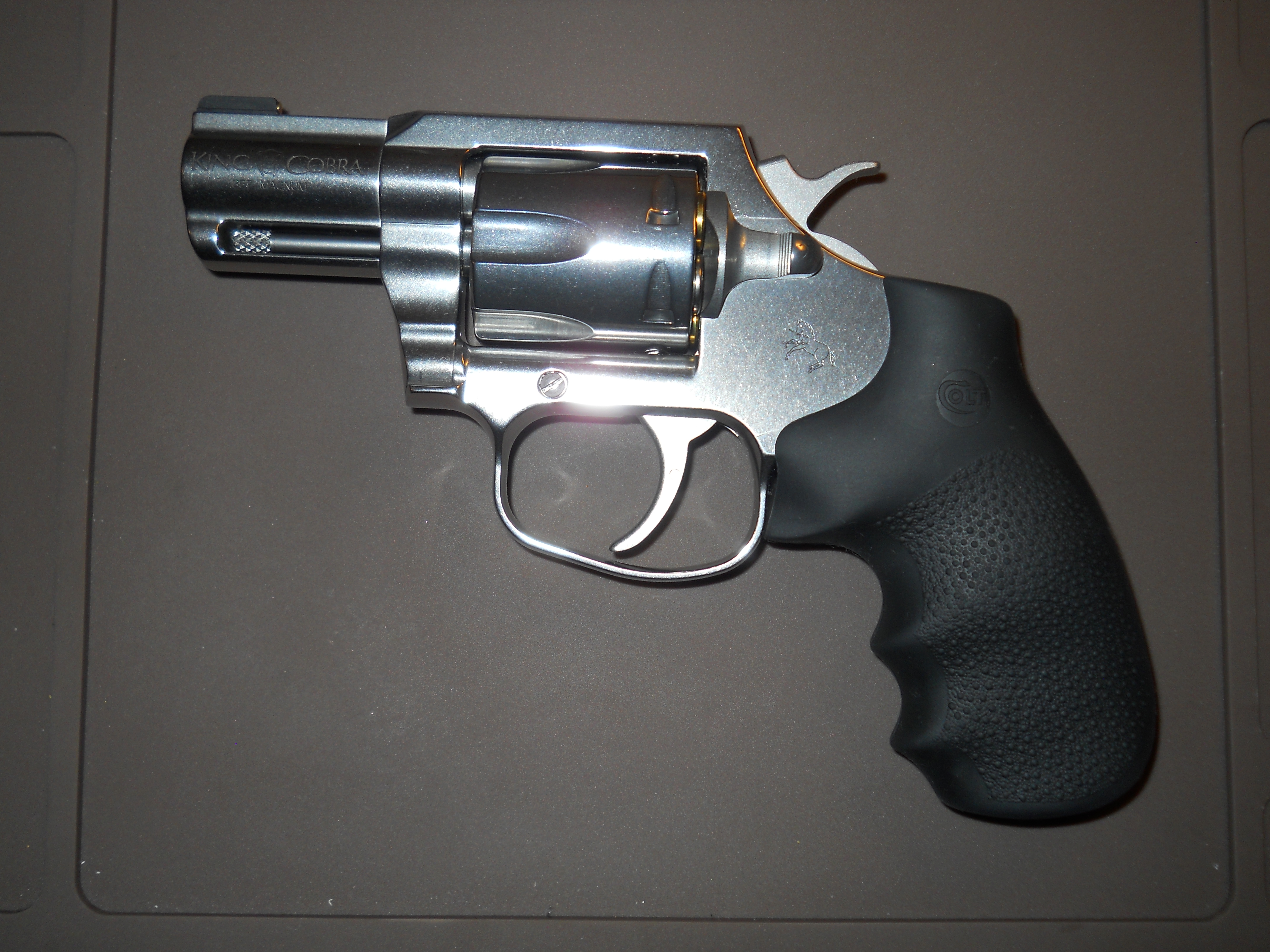 KingCobra.JPG
