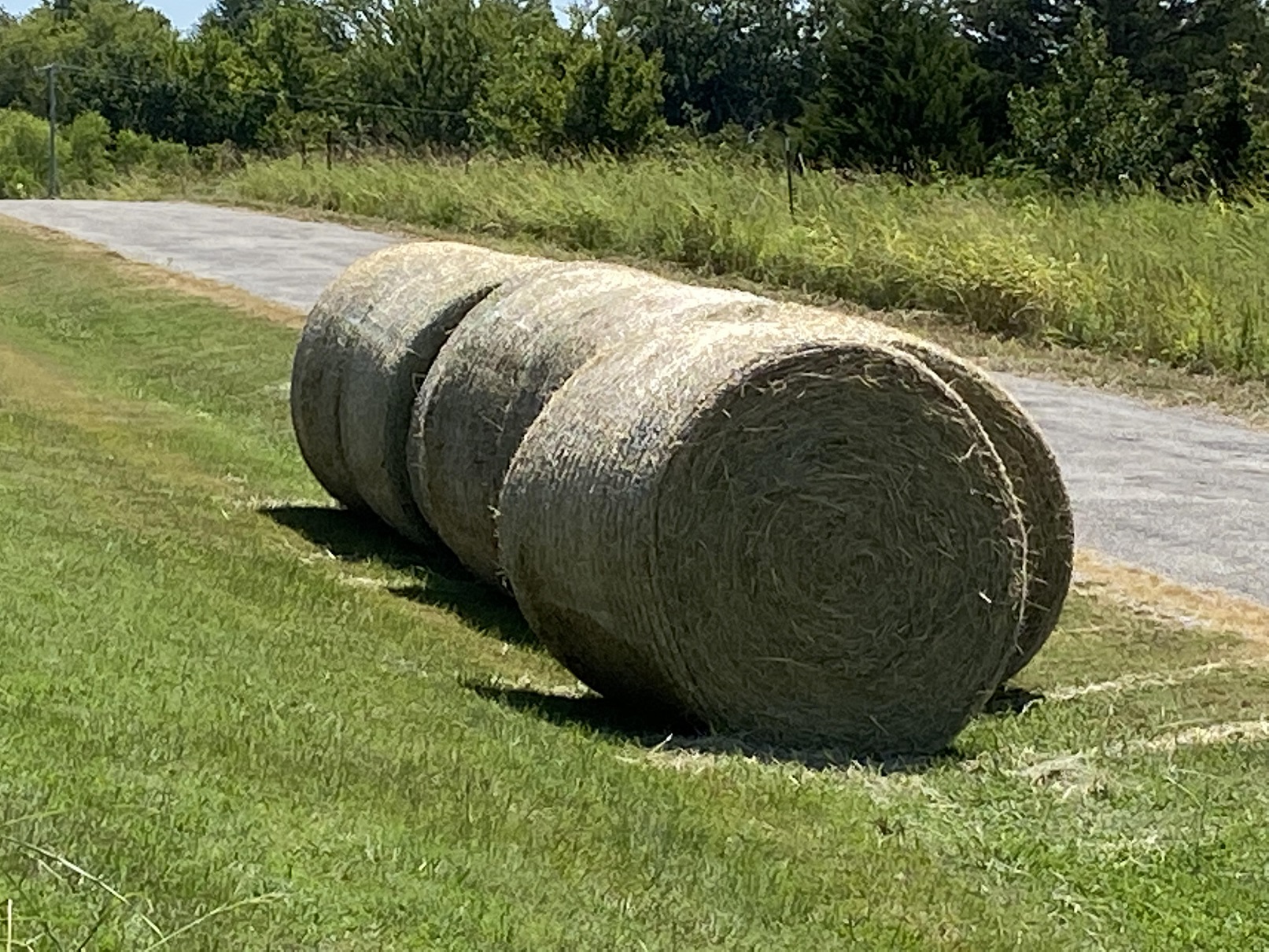 hay dropped off.jpg