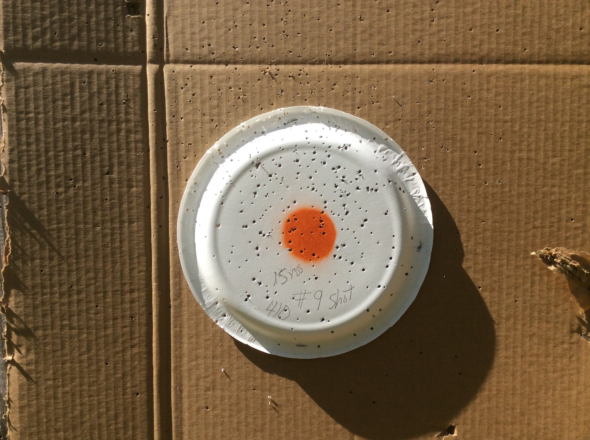 a mix of 9   6 and 4 shot of 410  from 15 yds.jpg