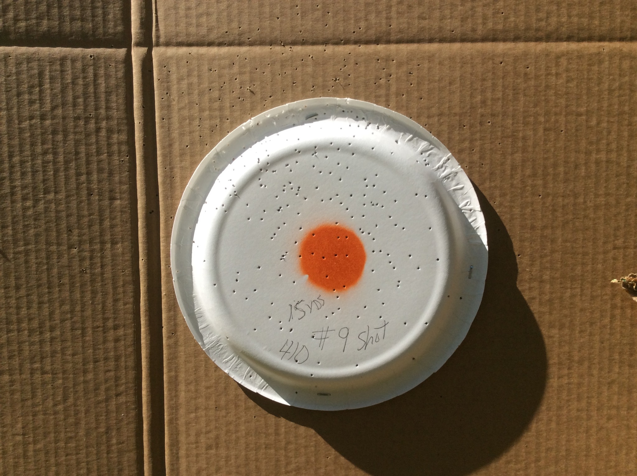 first shot of Number 9 shot thru Pardner 410.jpg