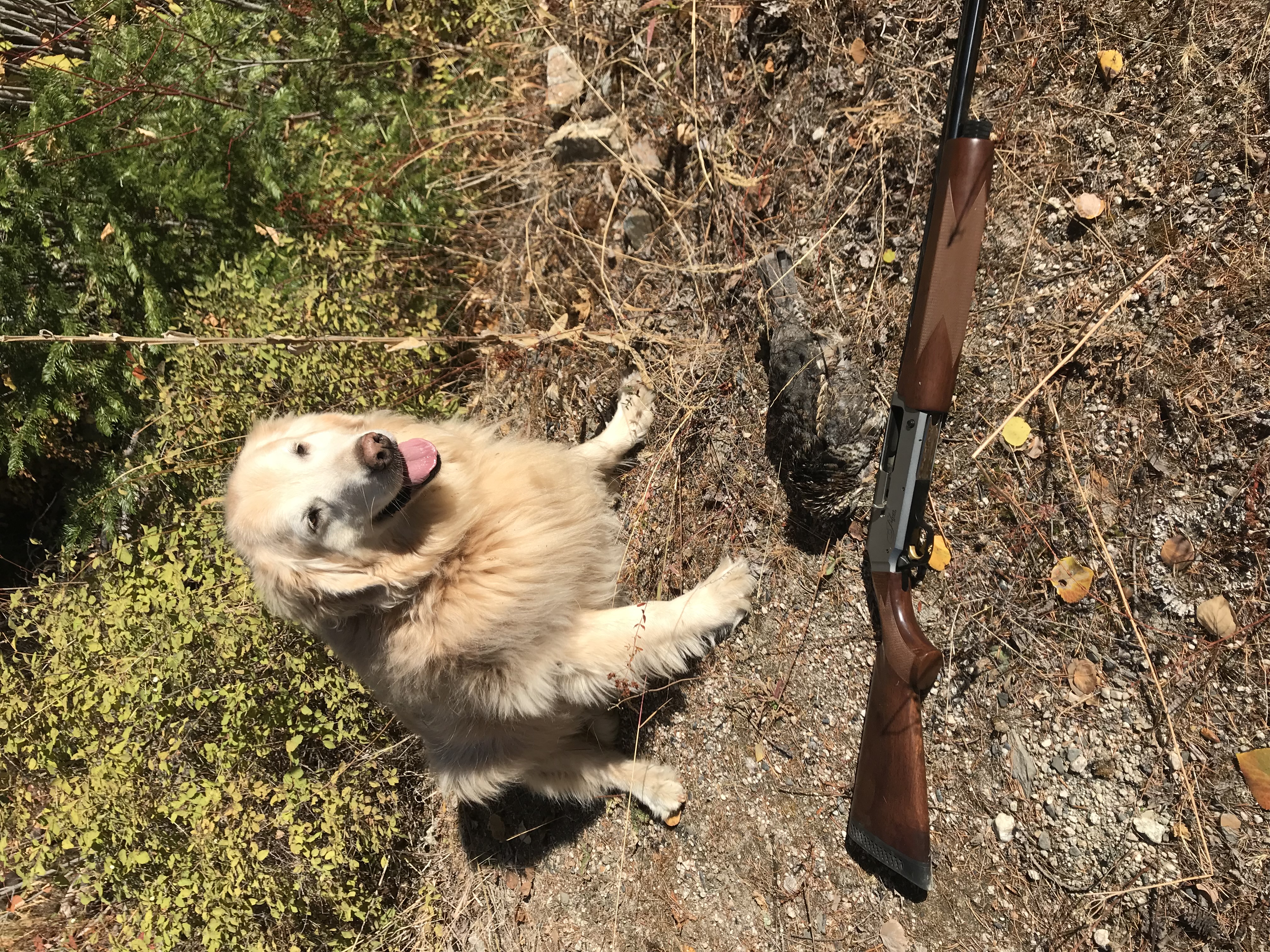 IMG_0429.jpeg
