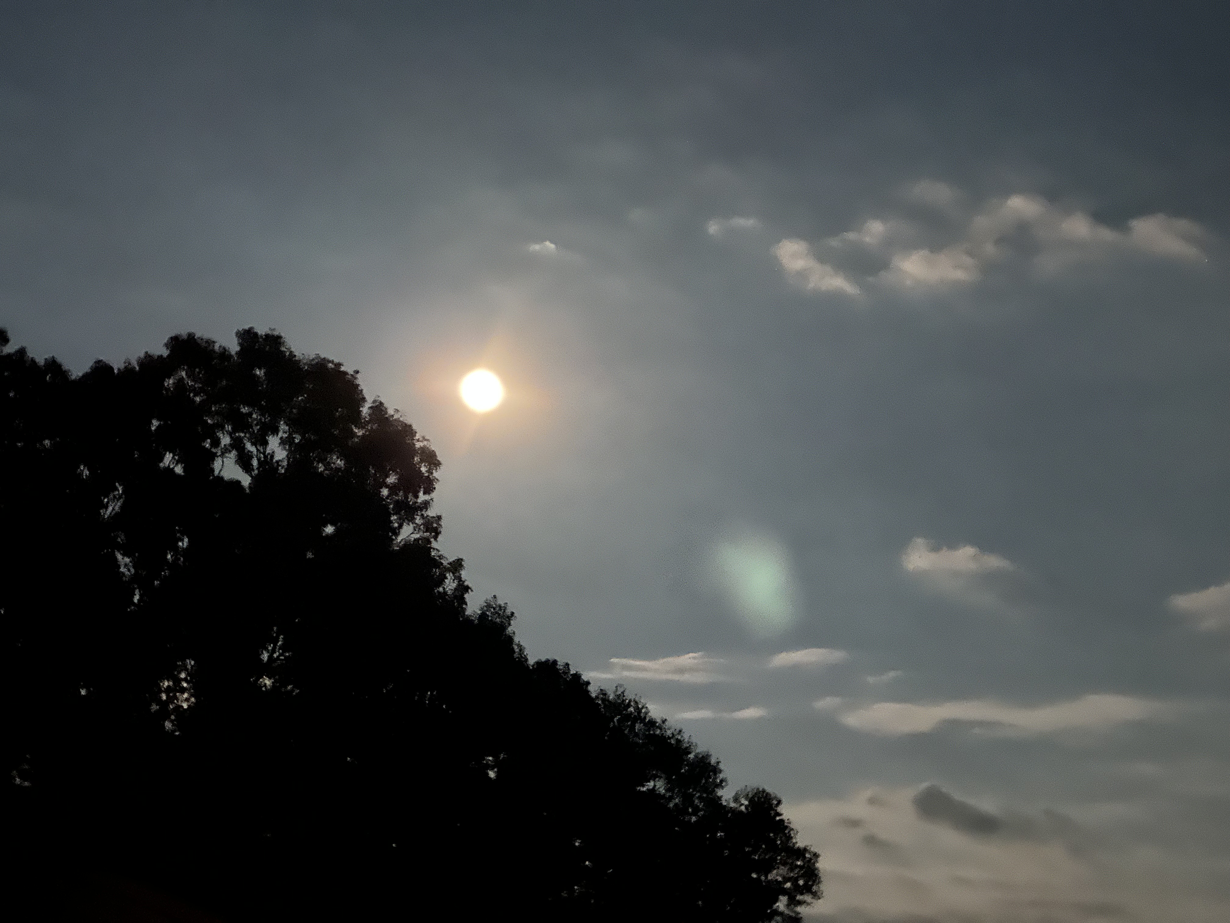 IMG_4073.jpeg