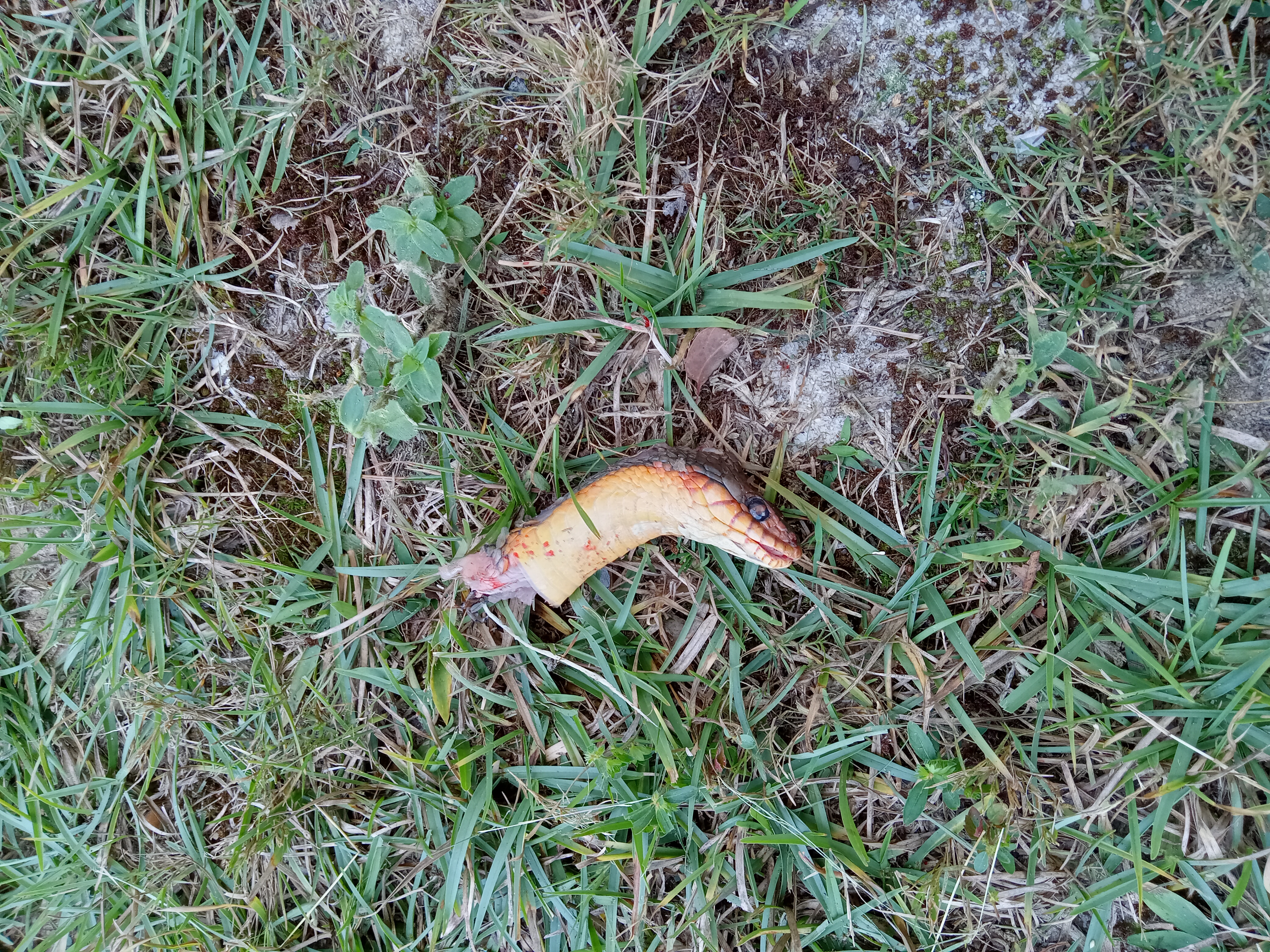 20230929_131040.jpg