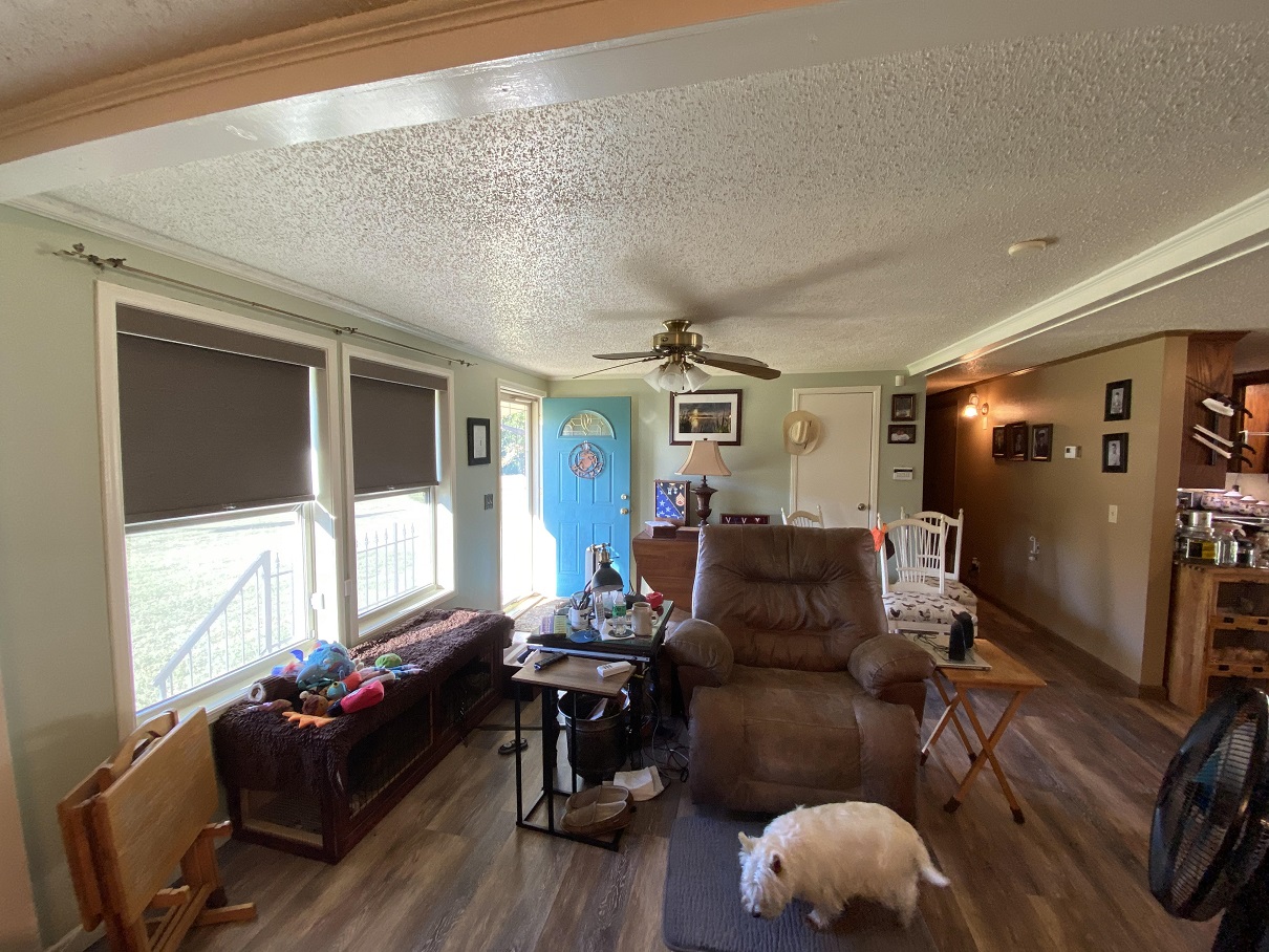 the door will be brick red.jpg