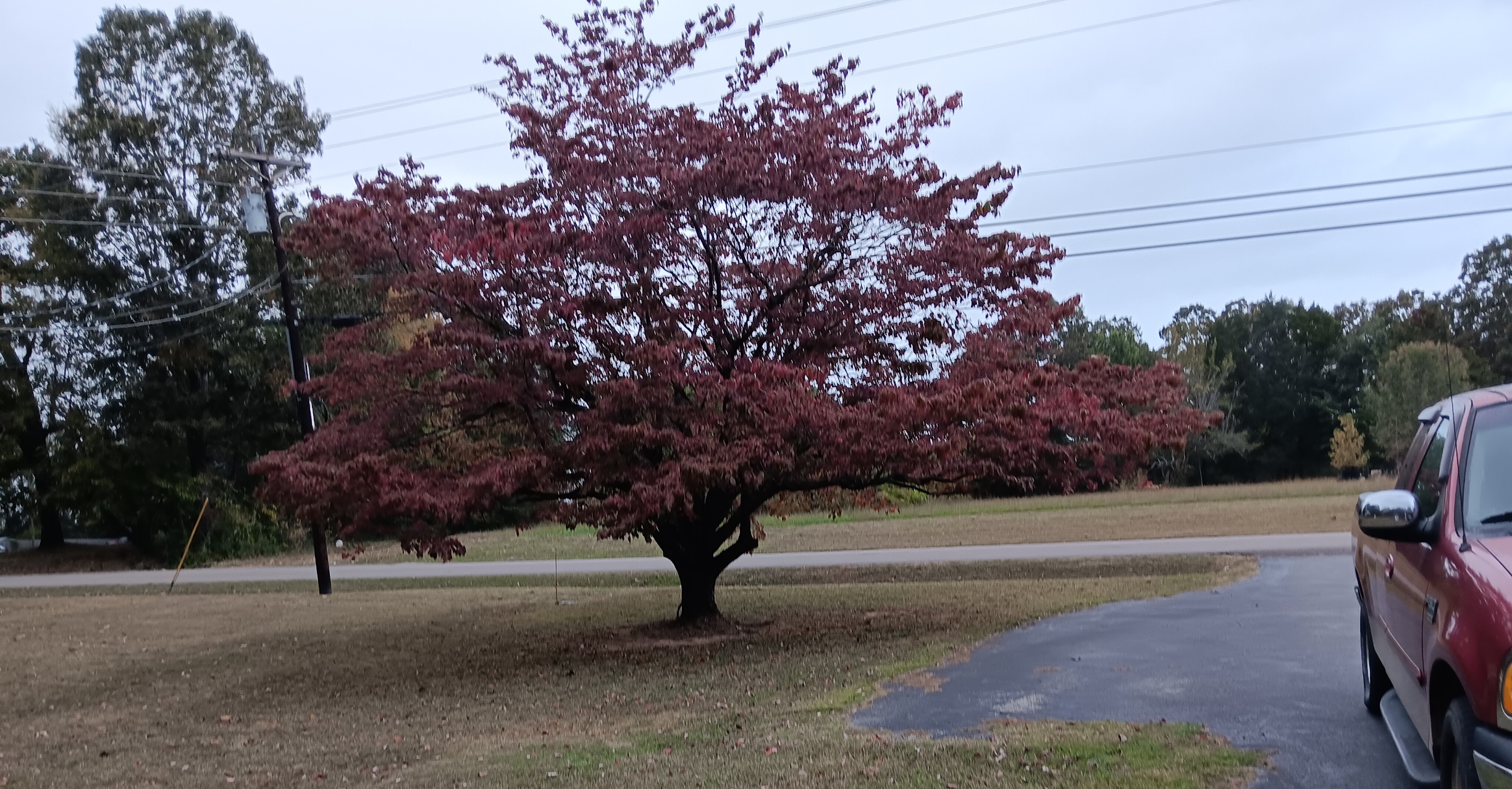20231015_171742.jpg