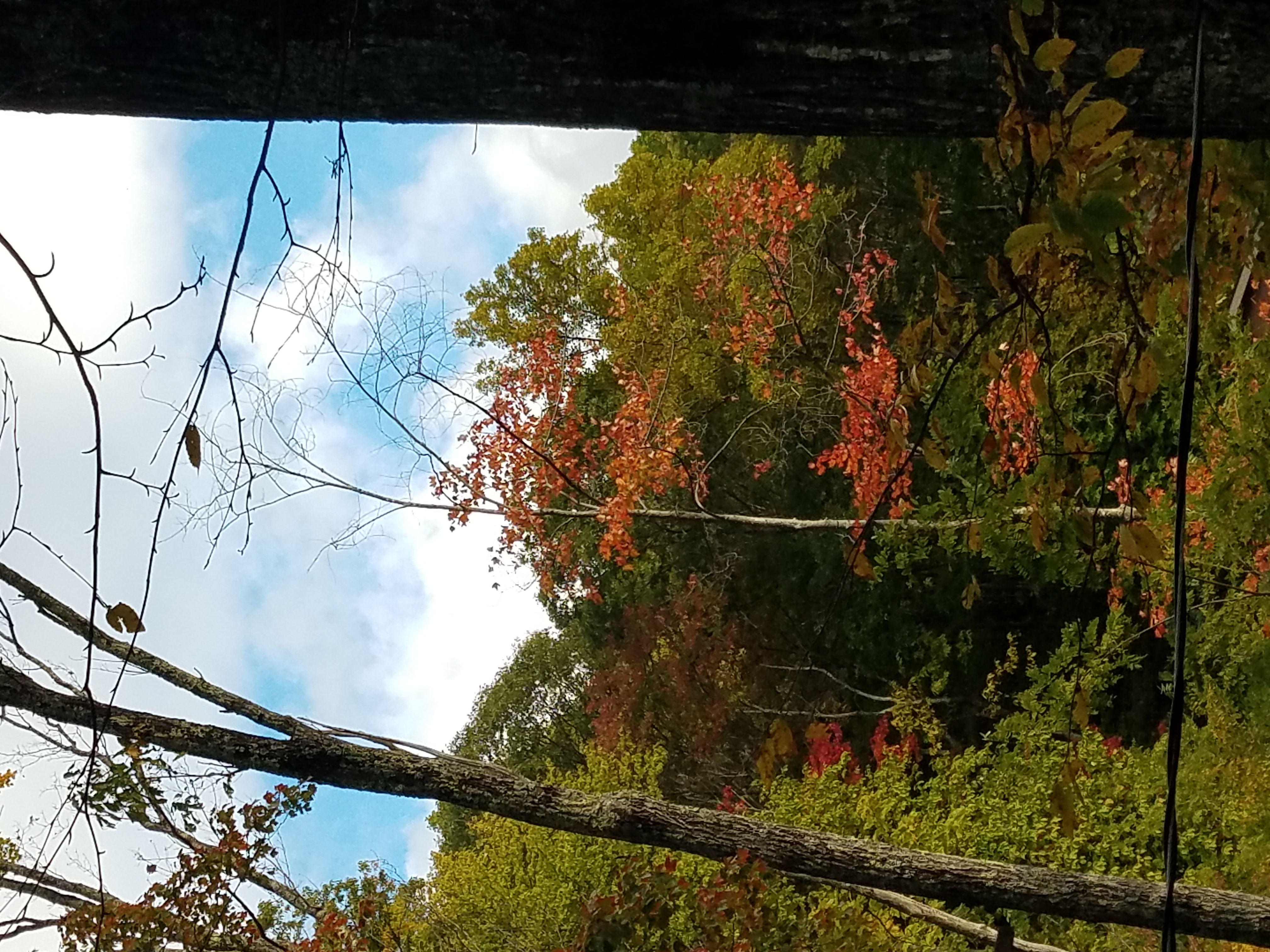 20231013_173623.jpg