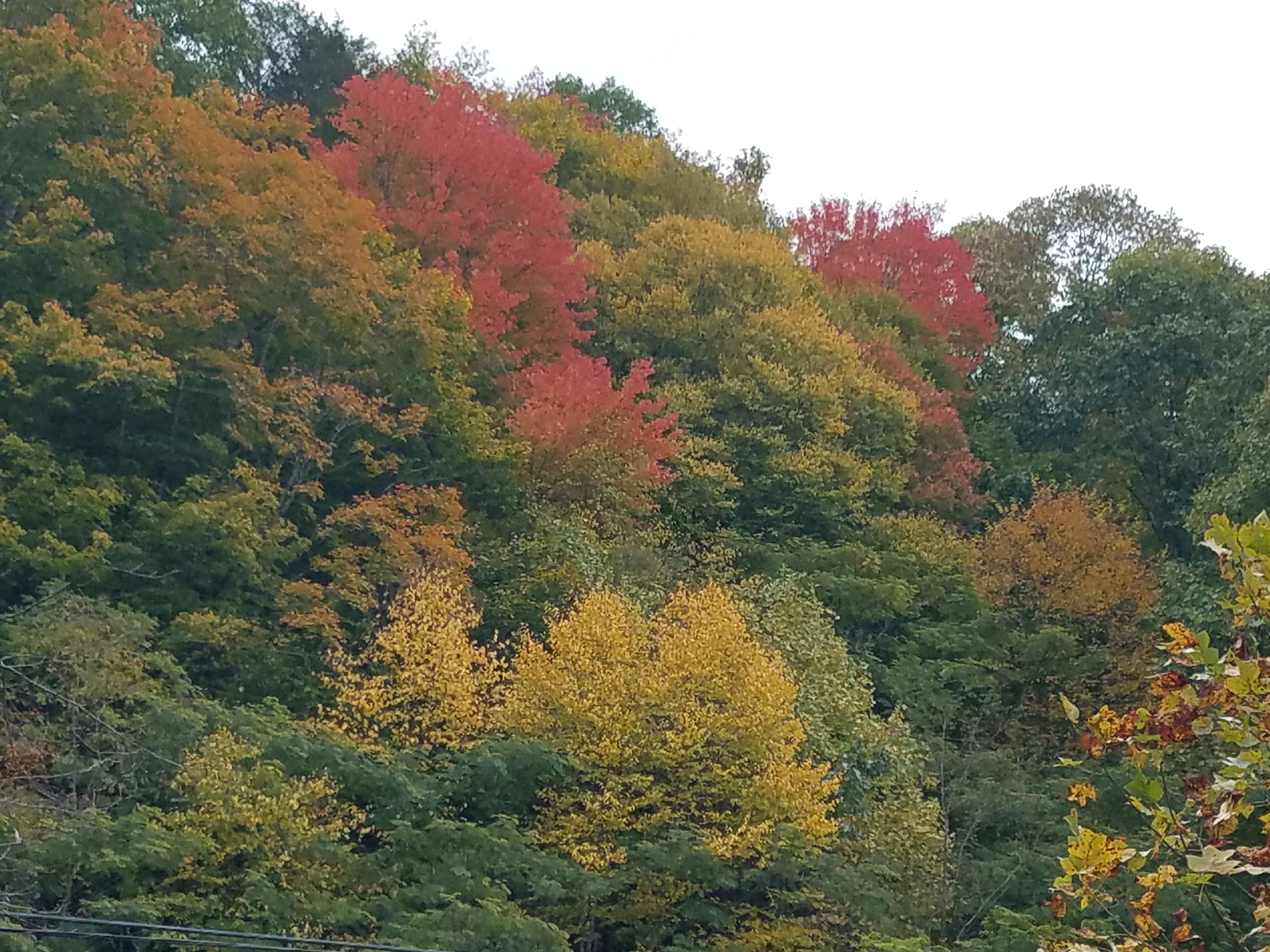 20231017_162055.jpg