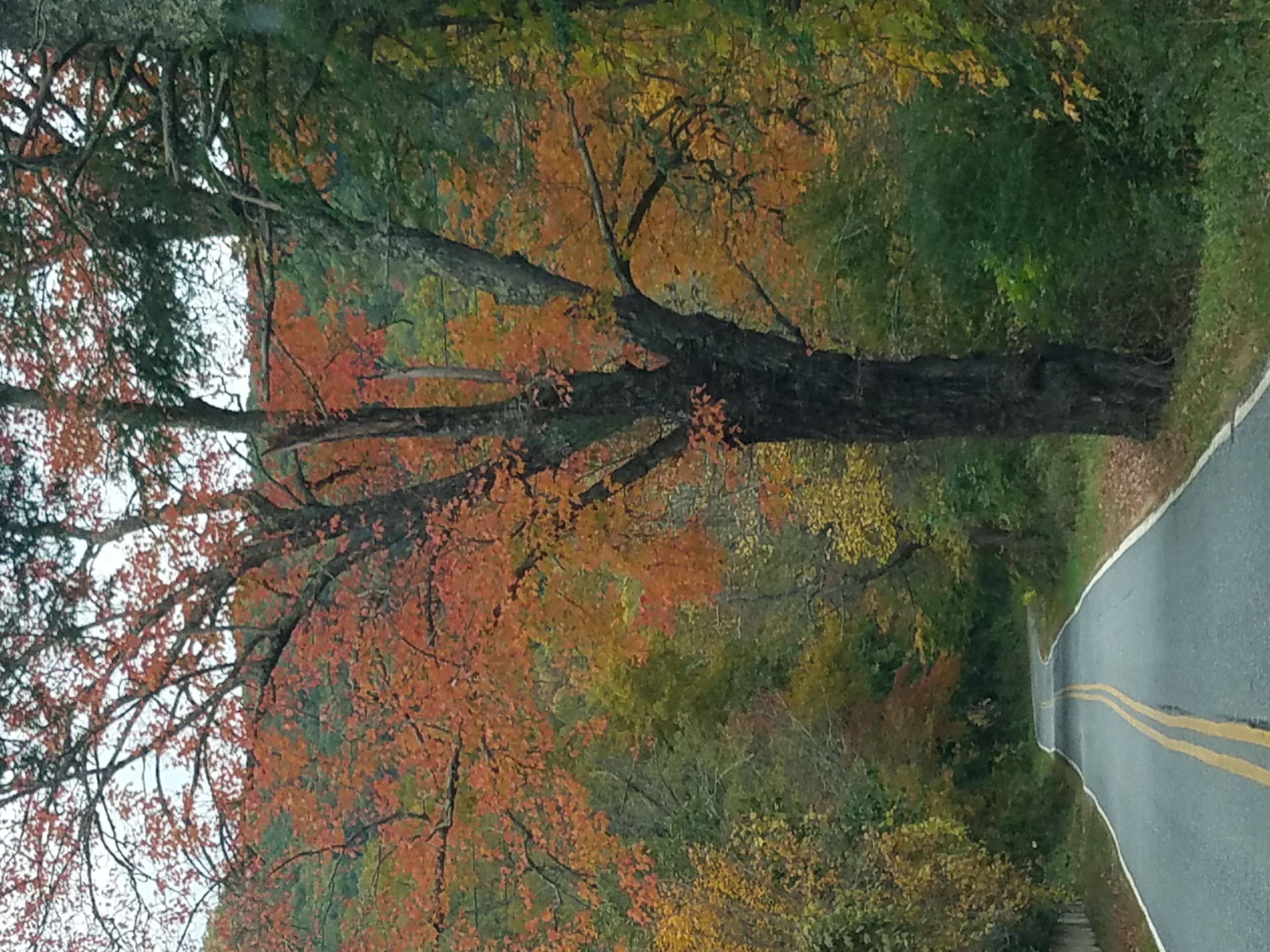 20231017_161801.jpg