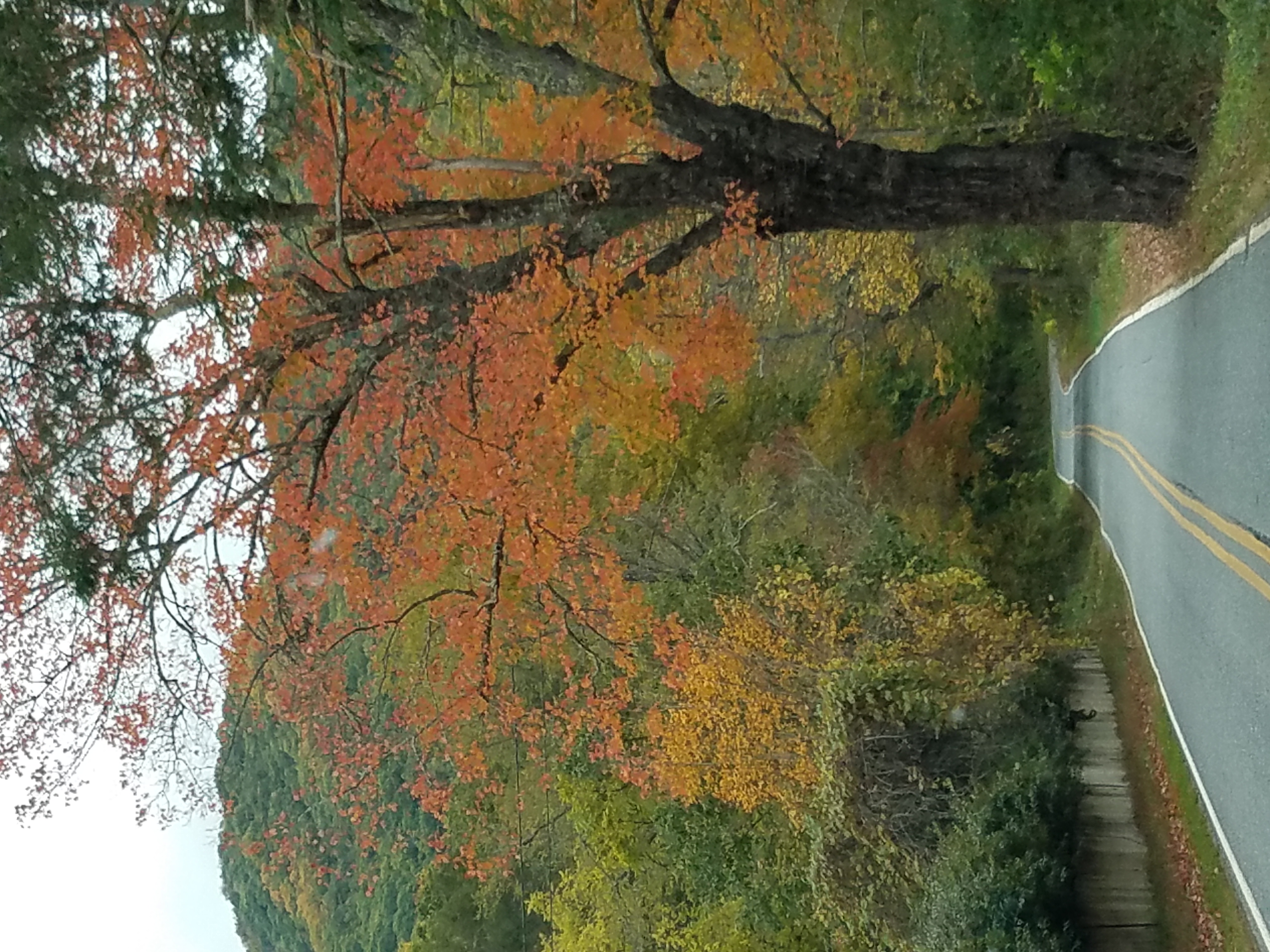 20231017_161749.jpg