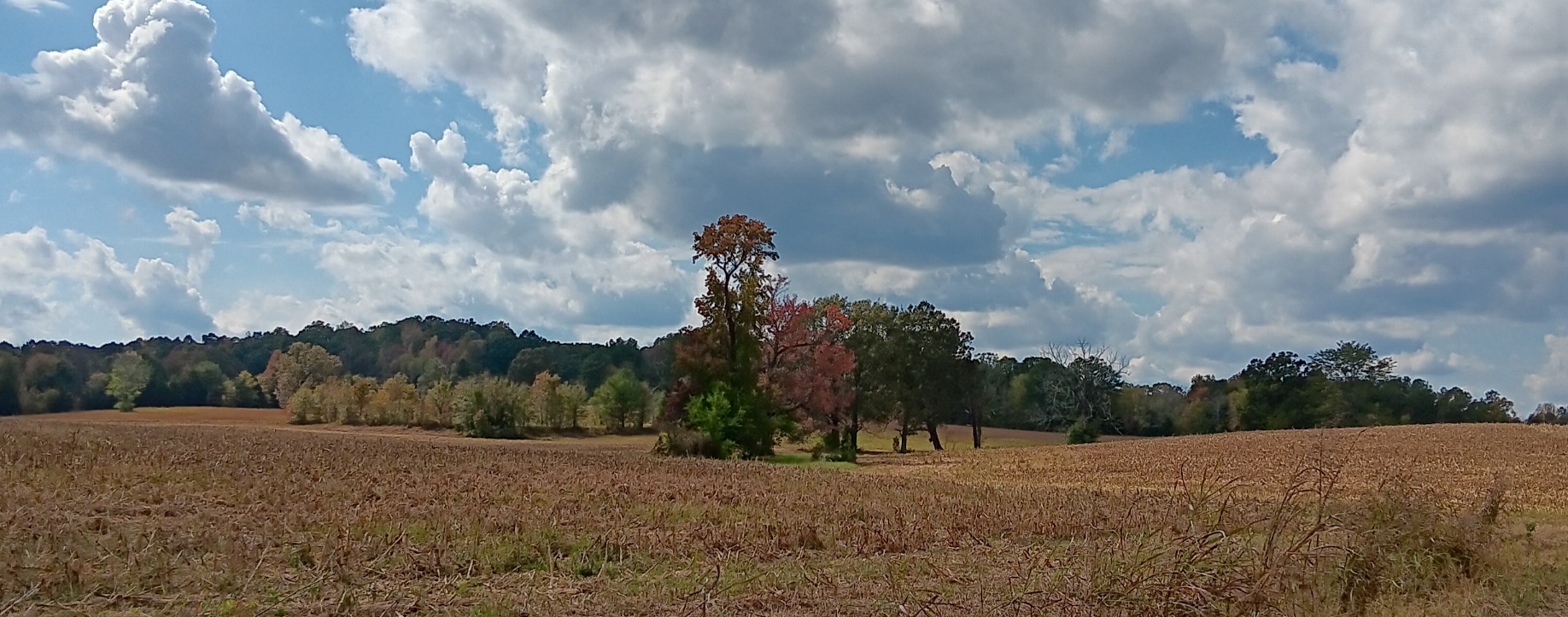20231019_131112.jpg