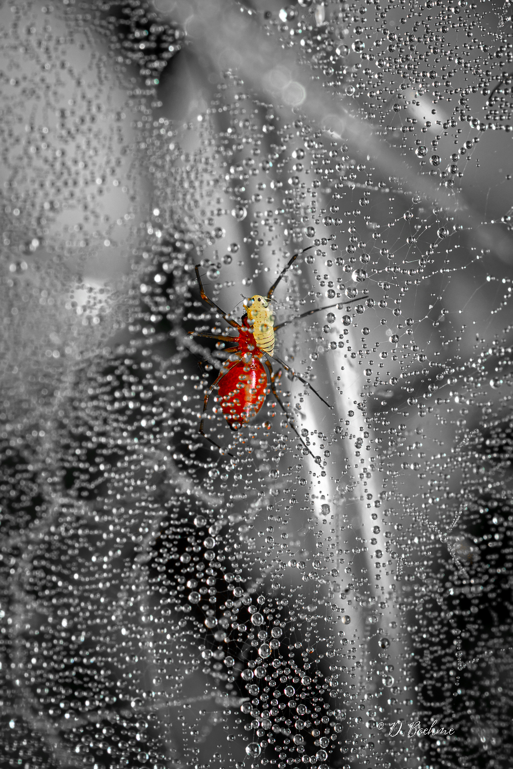 _DAB5612-topaz-sharpen-3.jpg