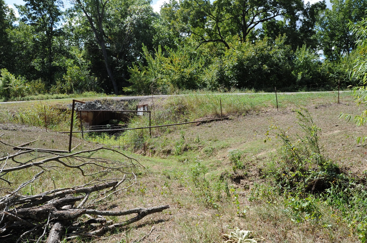 01 south orchard 1.JPG